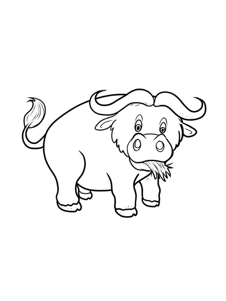 Búfalo