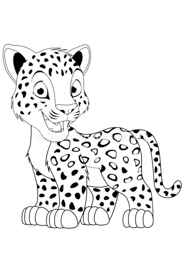 Leopardo