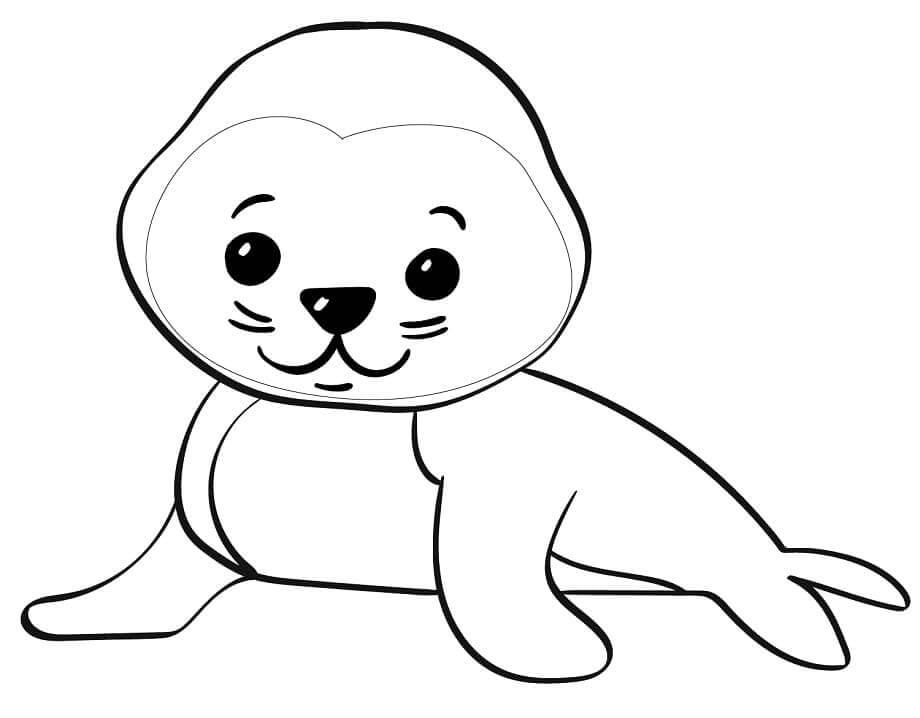 Pequeña Foca