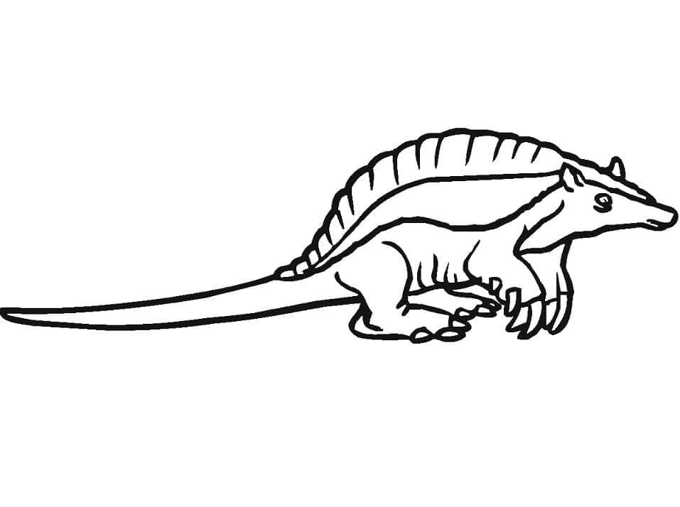 Armadillo