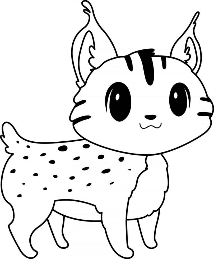 Pequeño Lince de Dibujos Animados