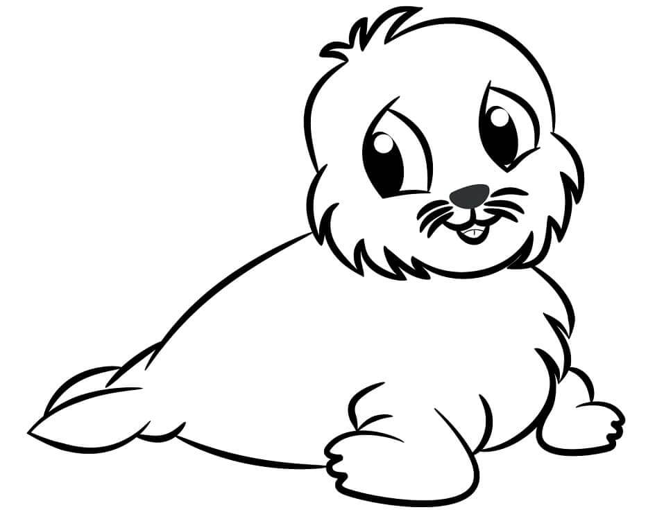 Pequeño Lobo Marino