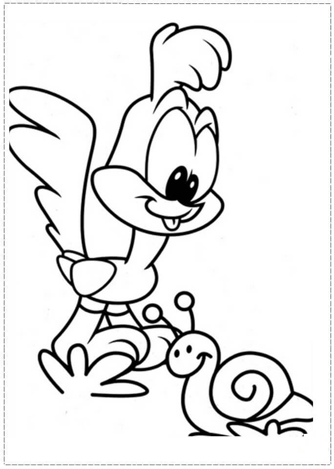 Pequeño Road Runner y Caracol