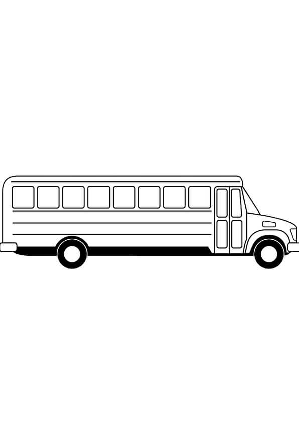 Perfecto Autobús Escolar