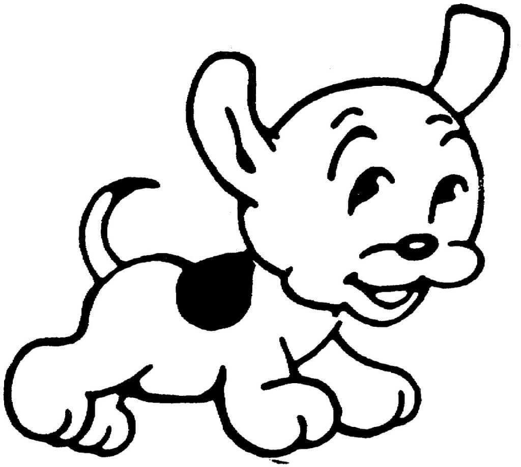 Perrito