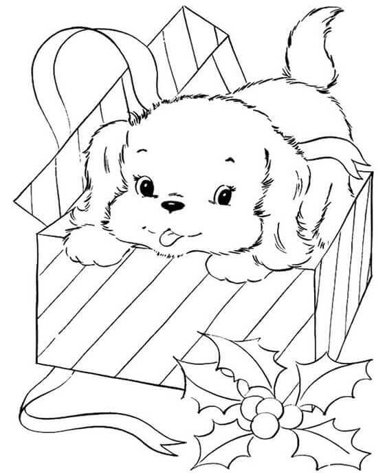 Perro Bebé en Caja de Regalo