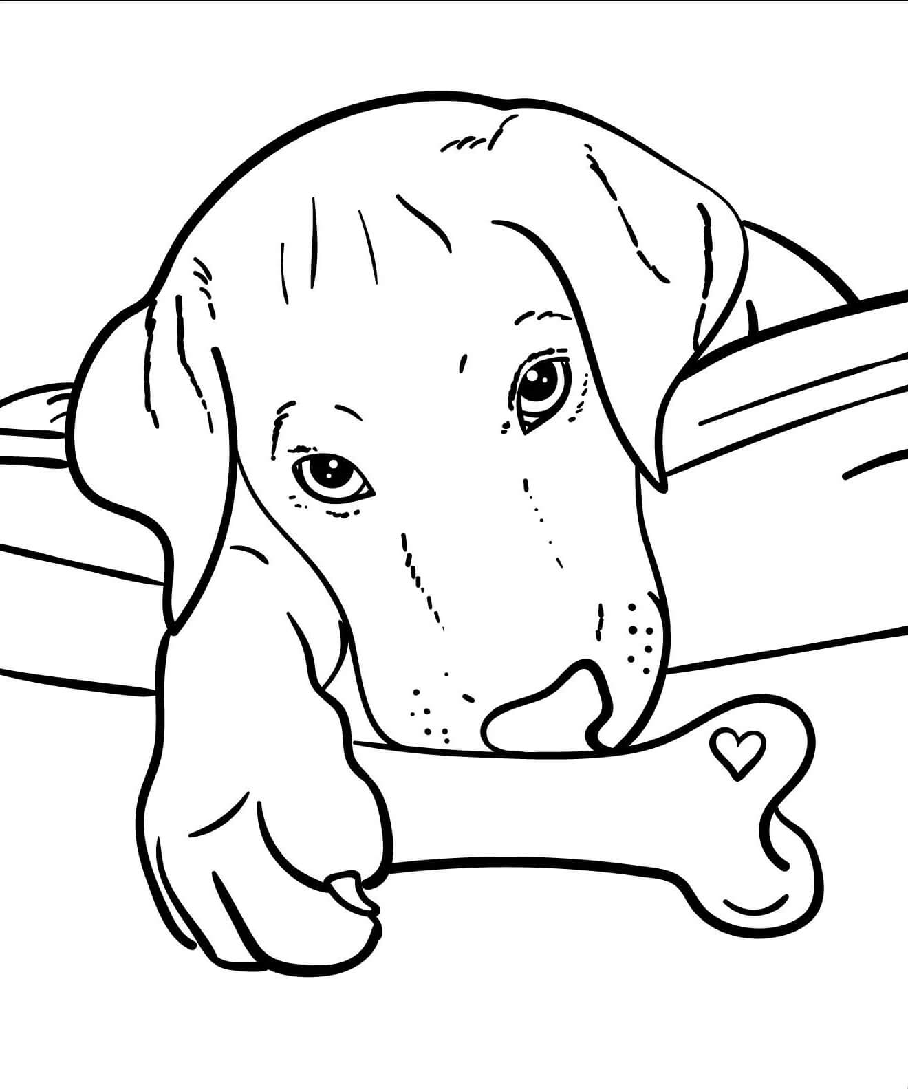 Perro con Hueso