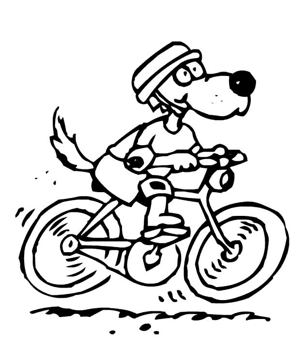 Perro de Ciclismo