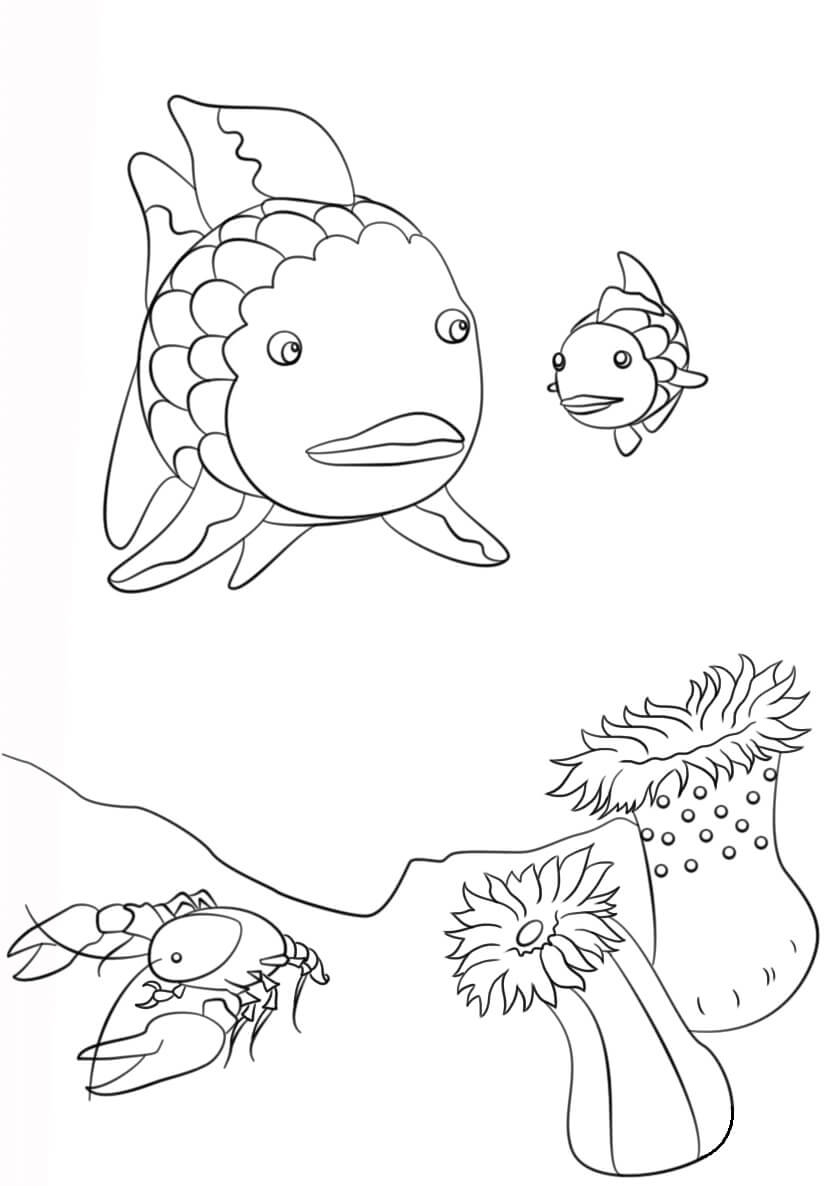 Pez Arco Iris, Langosta Y Peces Pequeños
