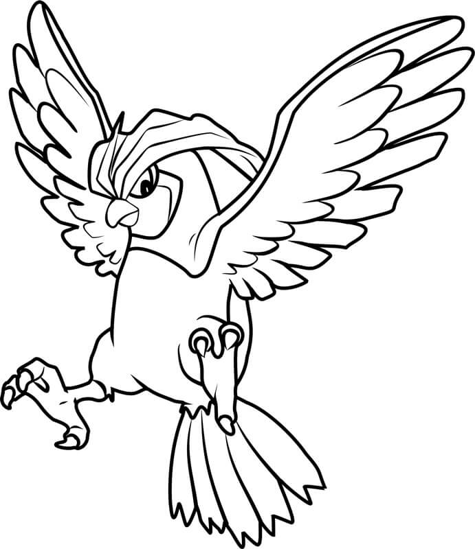 Pidgeot en Pokémon