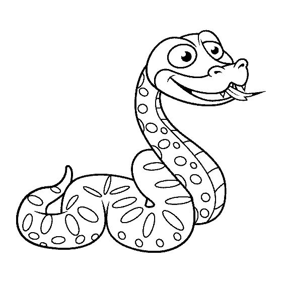 Pitón Divertido