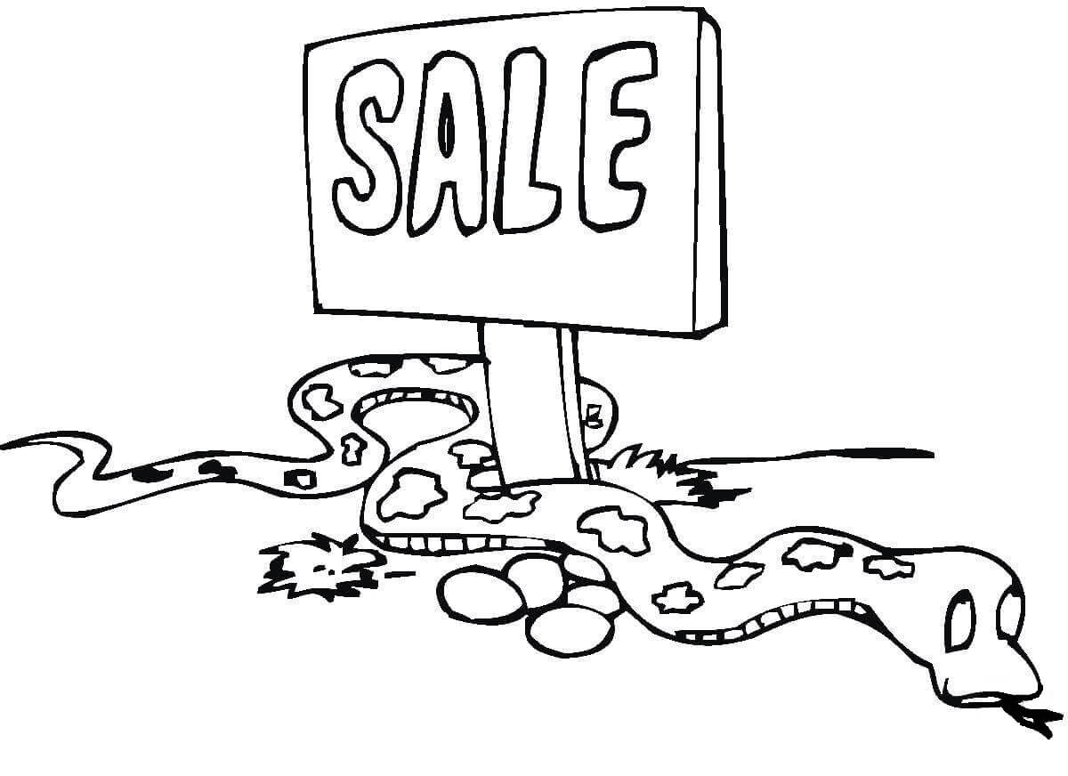 Pitón en Venta