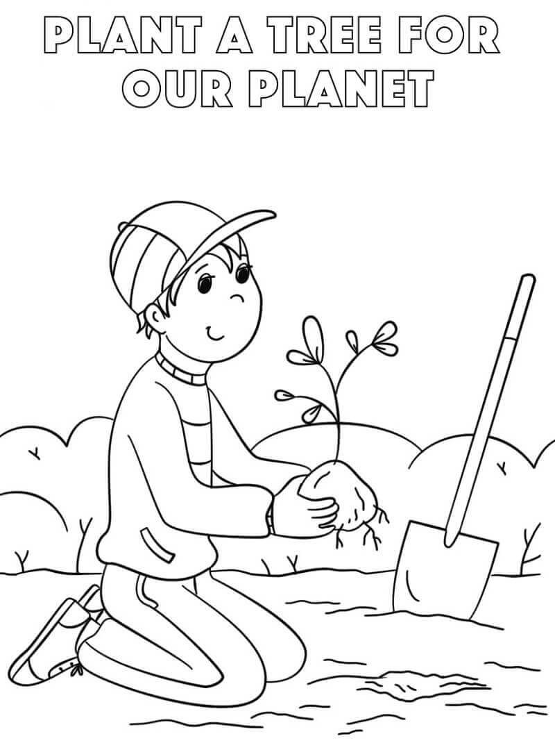 Planta un Árbol