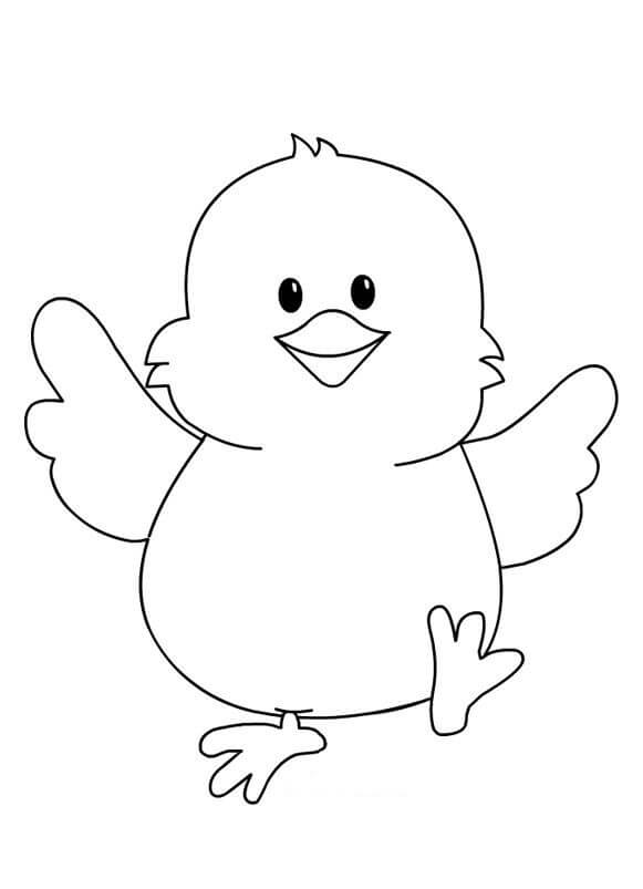Pollito Caminando