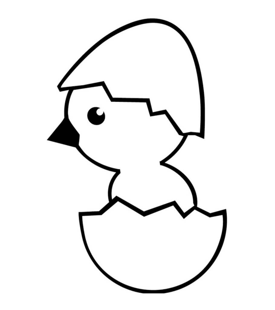 Pollito Fácil en Huevo