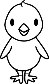 Pollito Normal