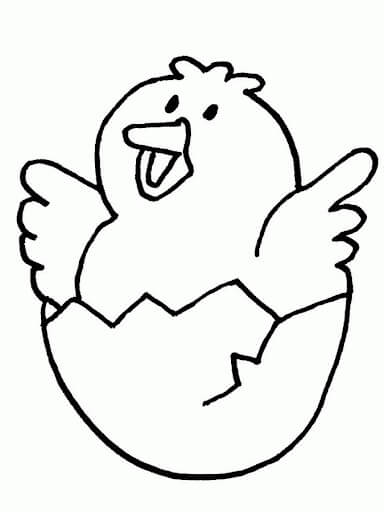 Pollito en Huevo Feliz