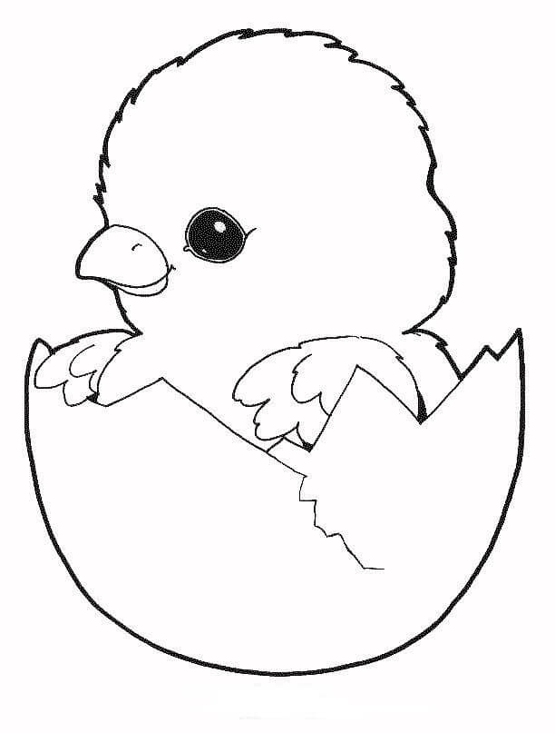 Pollito en Huevo
