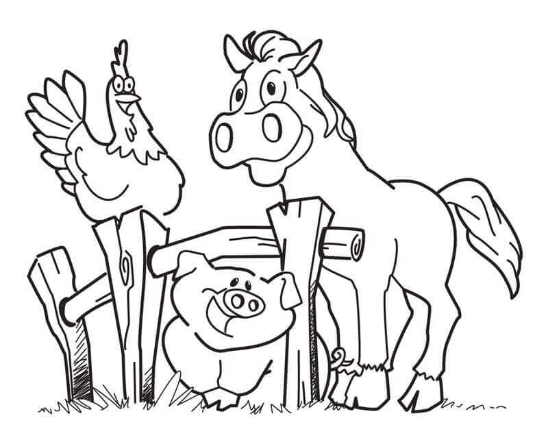 Pollo, Caballo y Cerdo en la Granja