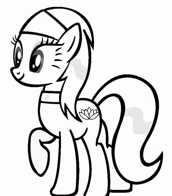 Pony Divertida