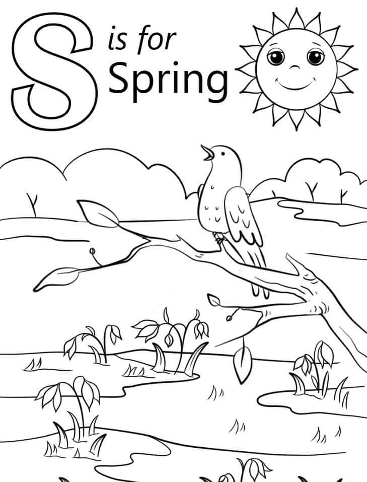 Primavera Letra S