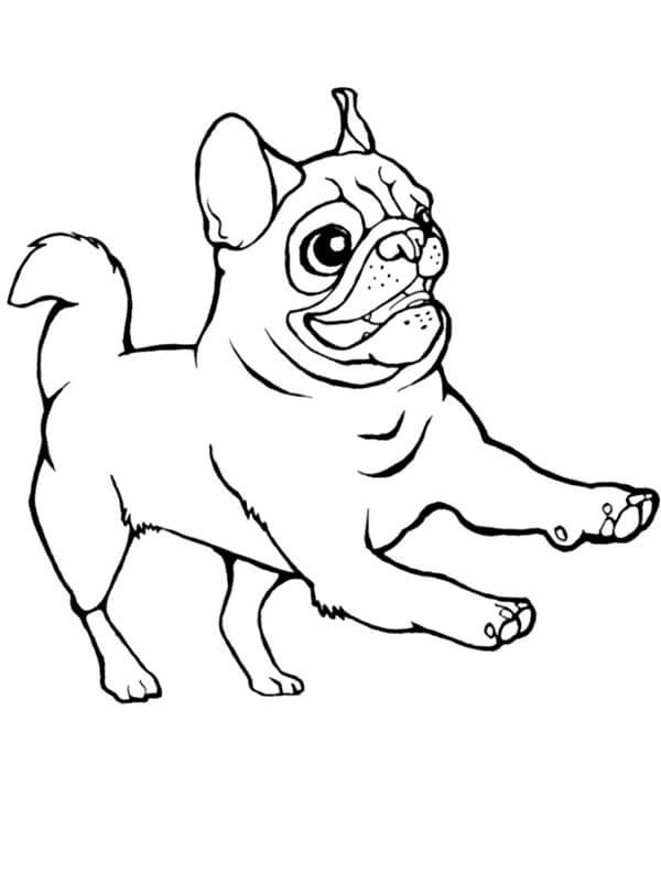 Doguillo