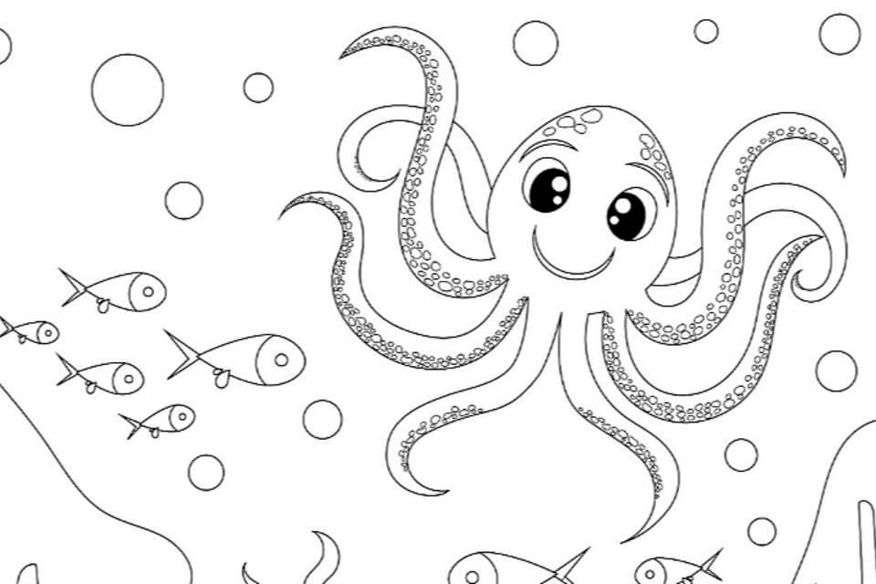 Pulpo y Peces