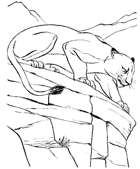 Puma Genial