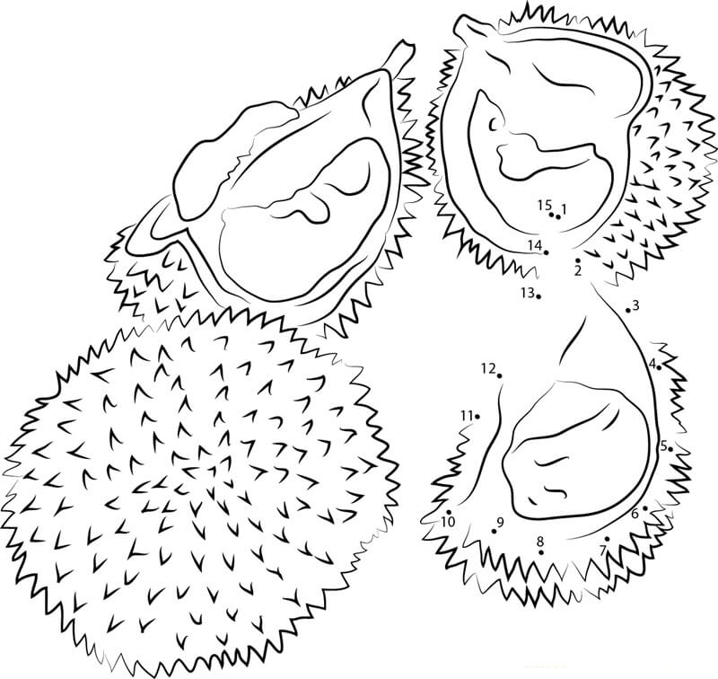 Punto a Punto de Durian Rojo