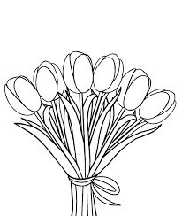 Ramo Básico de Tulipanes