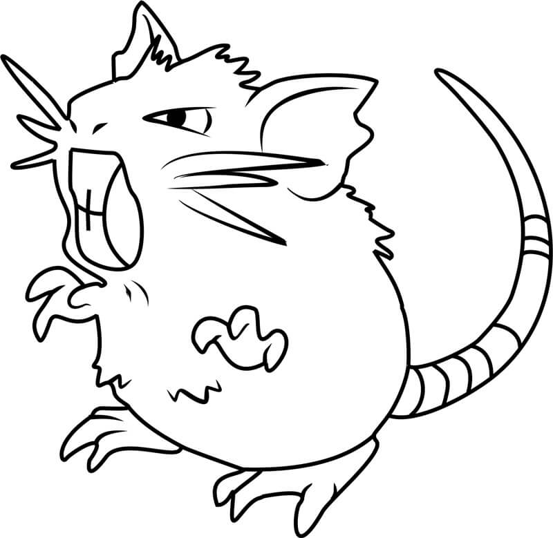 Raticate en Pokémon
