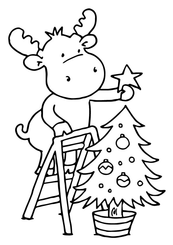 Reno Cuelga una Estrella en el Árbol de Navidad