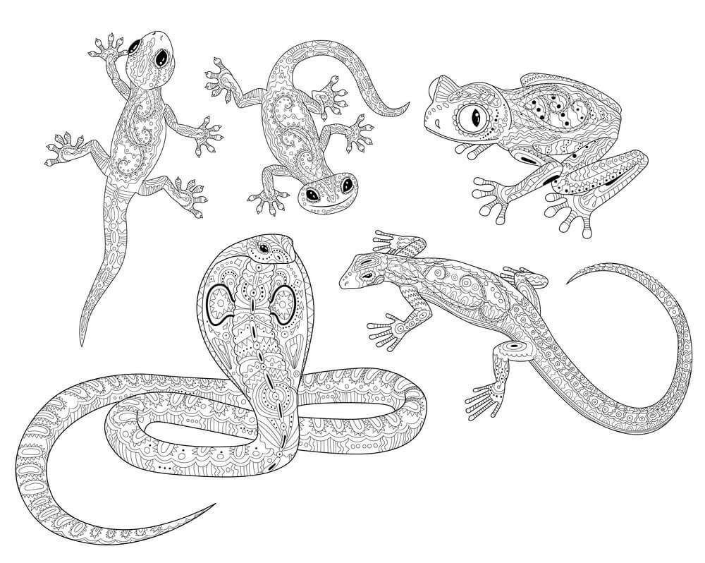 Reptiles Duros