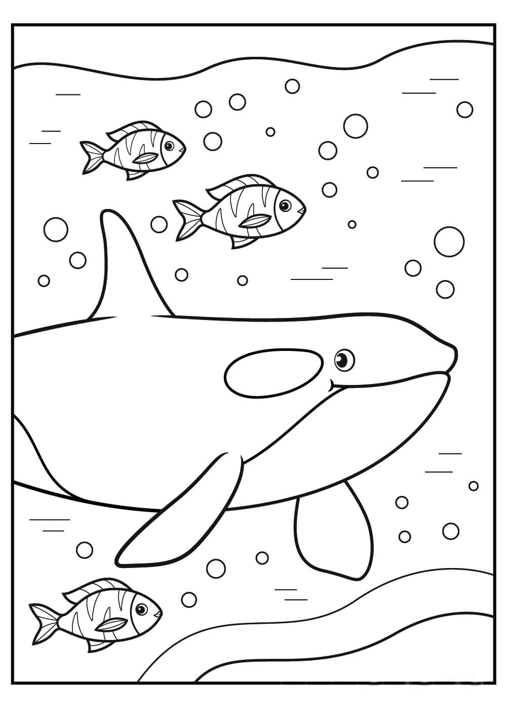 Retrato de Ballena y Peces