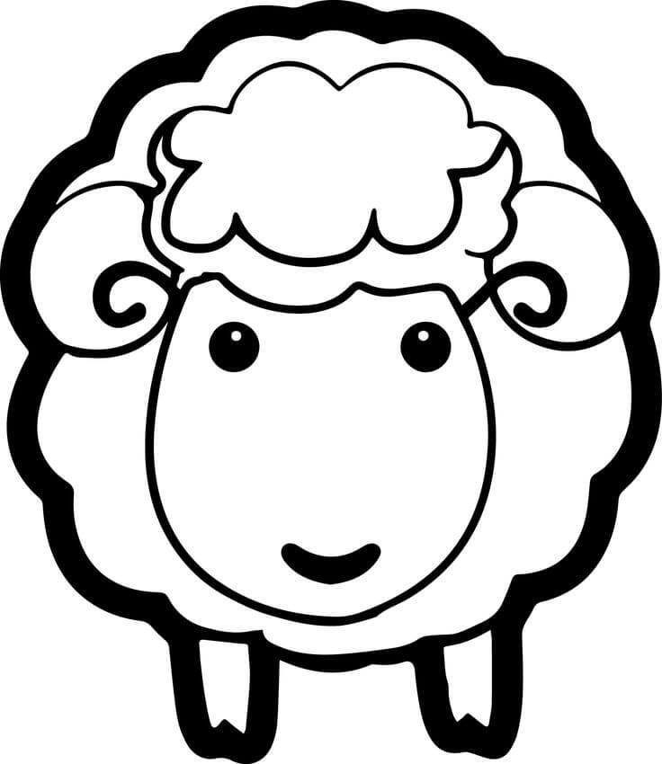 Retrato de Oveja