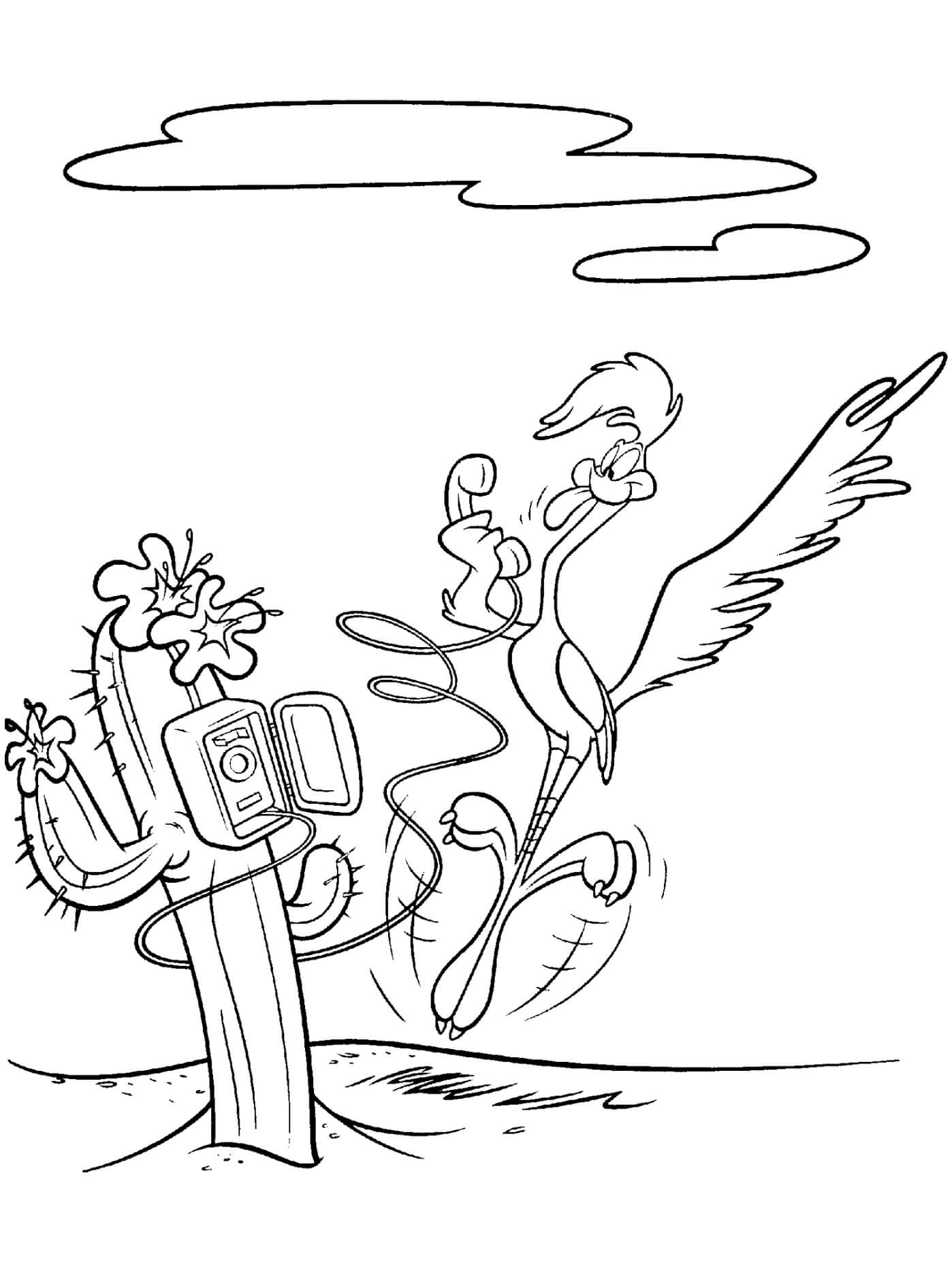 Road Runner Divertido