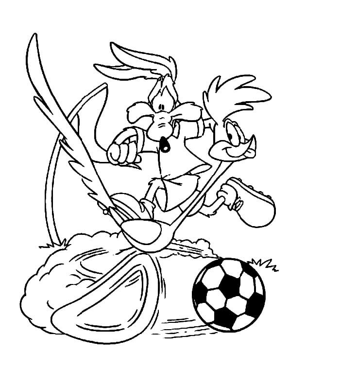 Road Runner