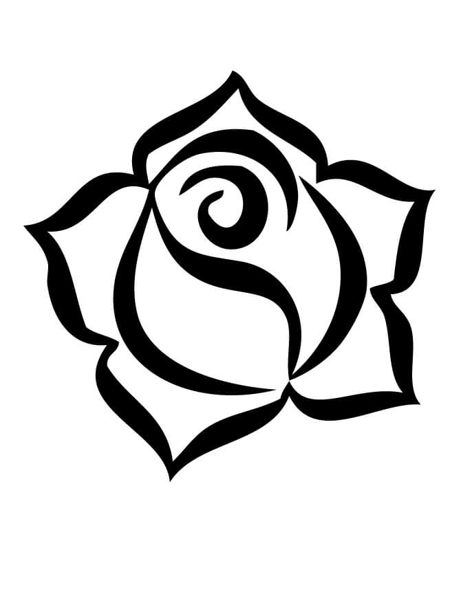 Rosa Fácil