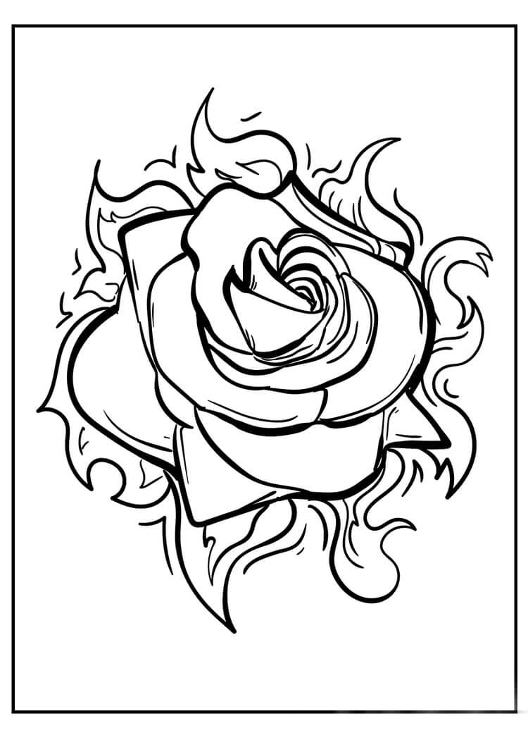 Rosa de Fuego