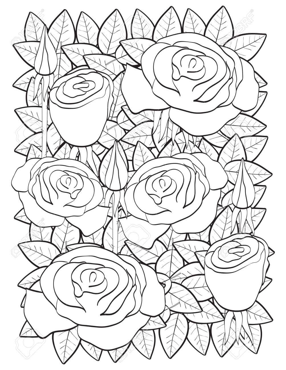 Rosas