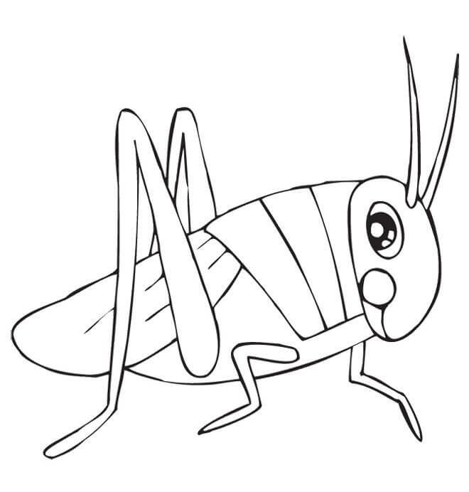 Saltamontes Básico