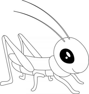 Saltamontes