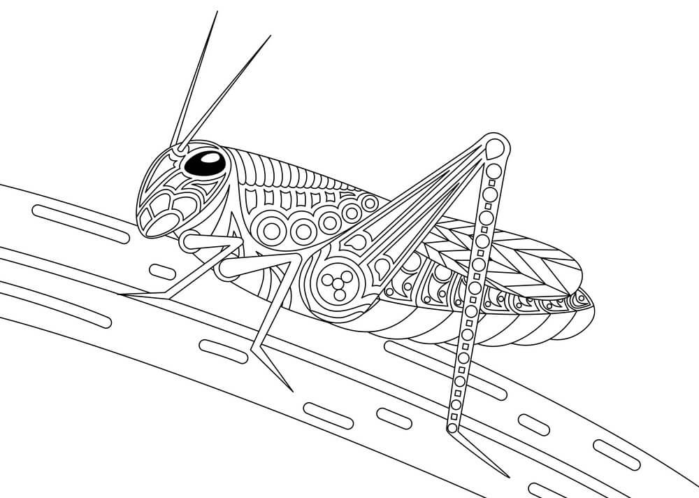 Saltamontes Monocromo
