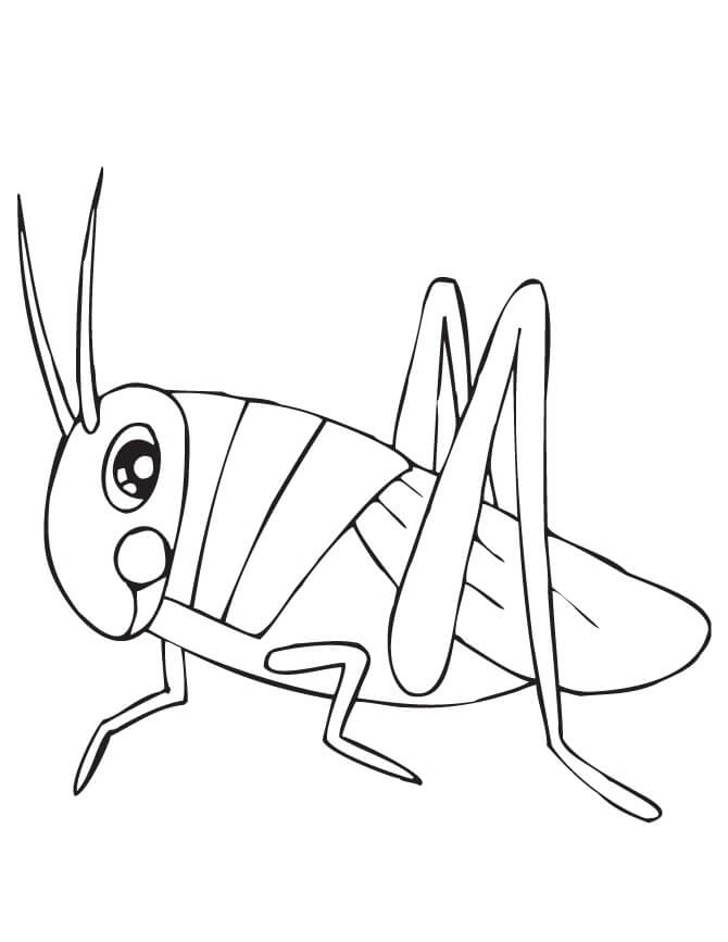 Saltamontes Simple