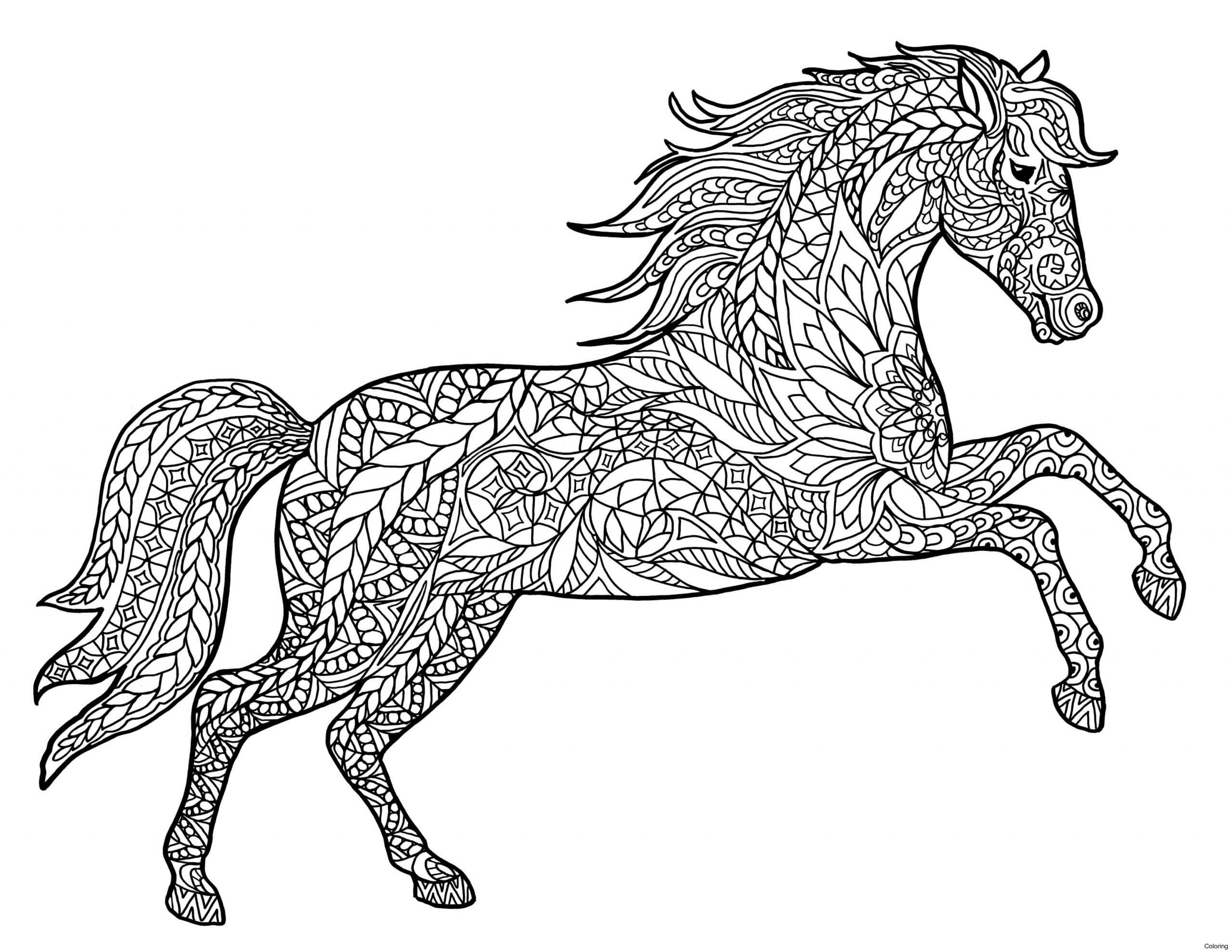 Salto de Caballo