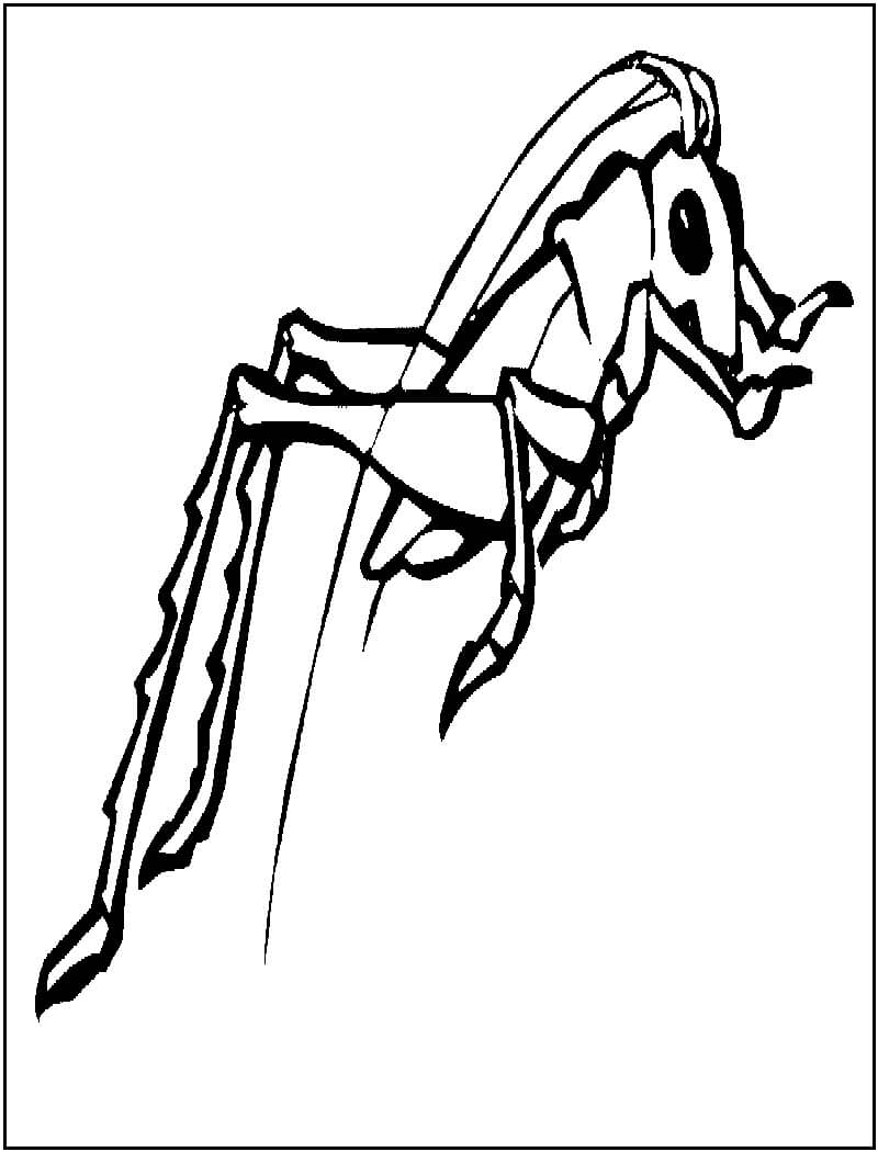 Salto de Grillo de Dibujo