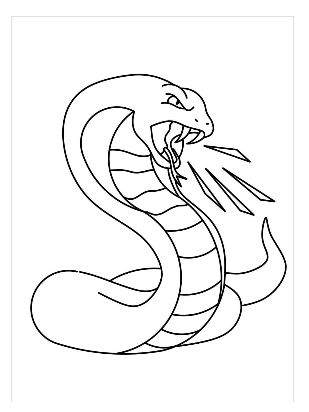 Serpiente Enojada