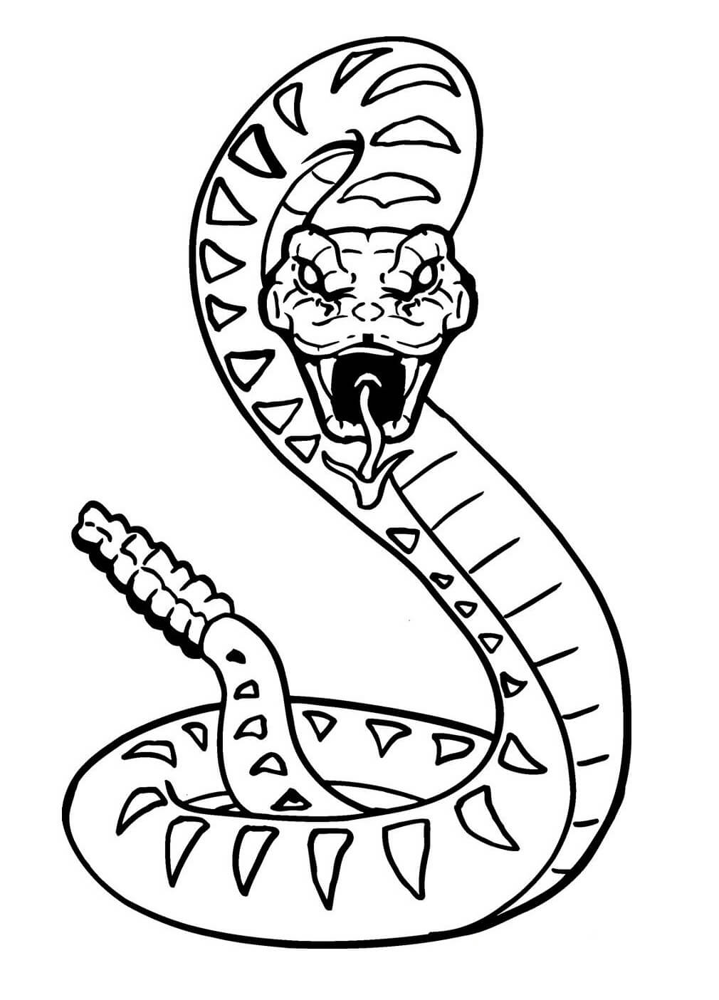 Serpiente Impresionante