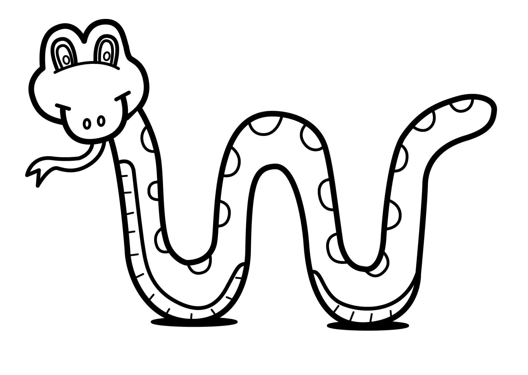 Serpiente Sonriendo