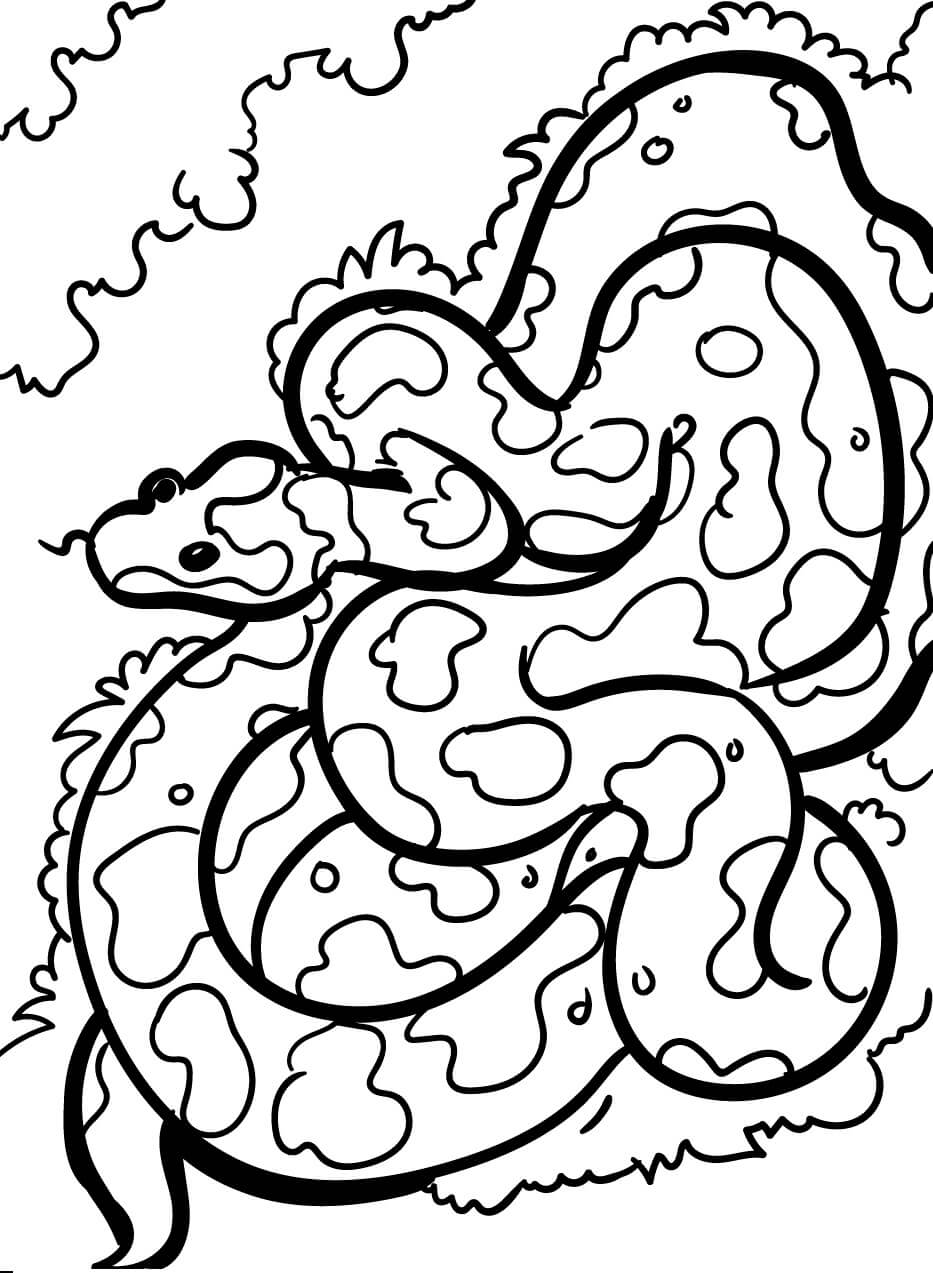 Serpiente de Camuflaje